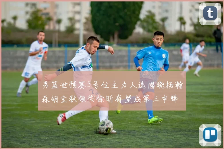 男篮世预赛5号位主力人选揭晓杨瀚森胡金秋领衔徐昕有望成第三中锋